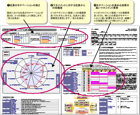 トラストサーベイのデータサンプル